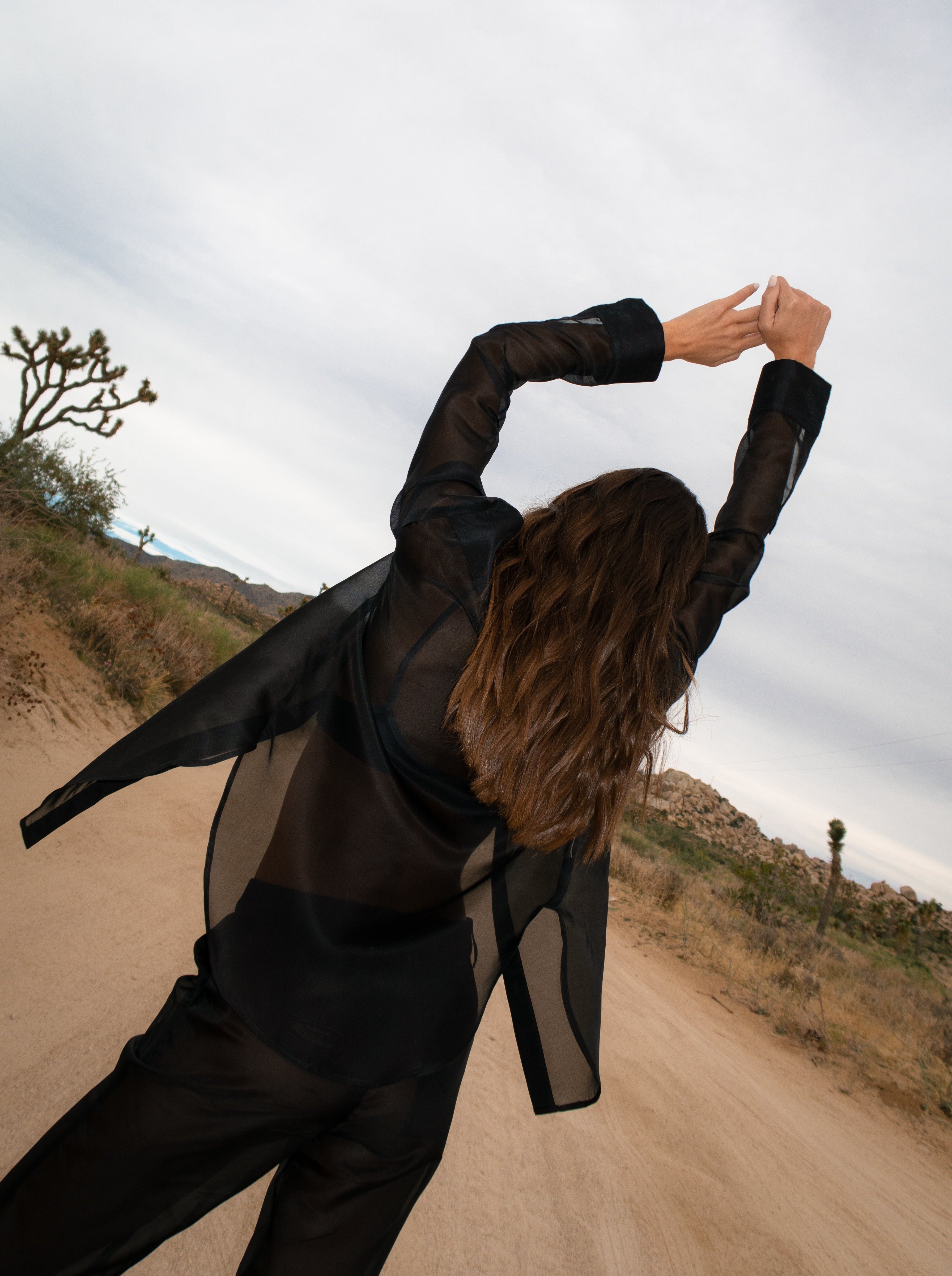 Presley Sheer Blouse